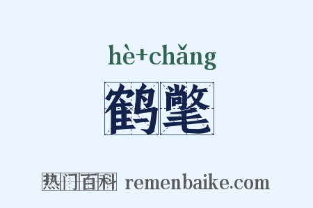 鹤氅是什么意思的图片